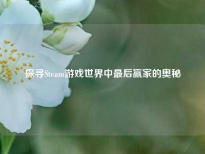 探寻Steam游戏世界中最后赢家的奥秘
