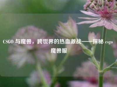 CSGO 与魔兽，跨世界的热血激战——探秘 csgo 魔兽服