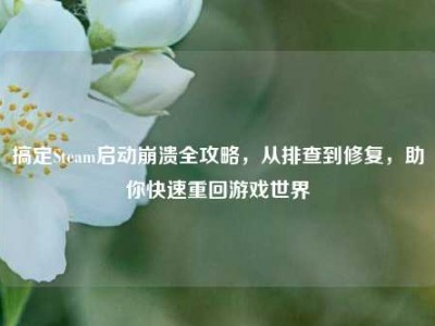 搞定Steam启动崩溃全攻略，从排查到修复，助你快速重回游戏世界