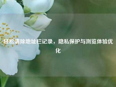 轻松清除地址栏记录，隐私保护与浏览体验优化