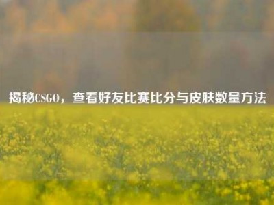 揭秘CSGO，查看好友比赛比分与皮肤数量方法