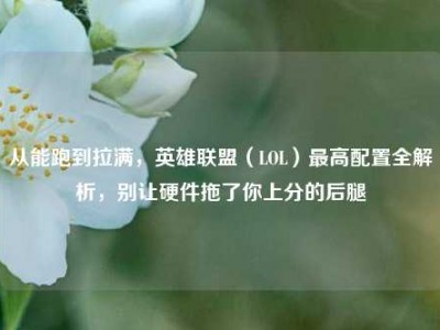 从能跑到拉满，英雄联盟（LOL）最高配置全解析，别让硬件拖了你上分的后腿