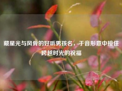 藏星光与风骨的好听男孩名，于音形意中接住跨越时光的祝福