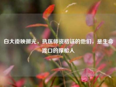 白大褂映微光，执医师资格证的他们，是生命渡口的撑船人