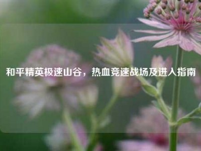 和平精英极速山谷，热血竞速战场及进入指南