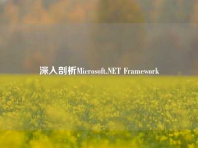 深入剖析Microsoft.NET Framework