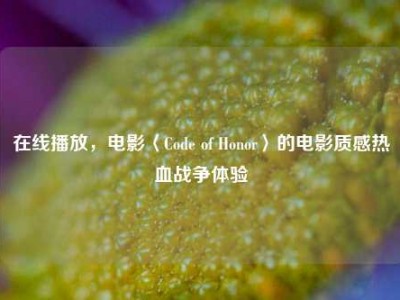 在线播放，电影〈Code of Honor〉的电影质感热血战争体验