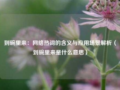 到碗里来：网络热词的含义与应用场景解析（到碗里来是什么意思）