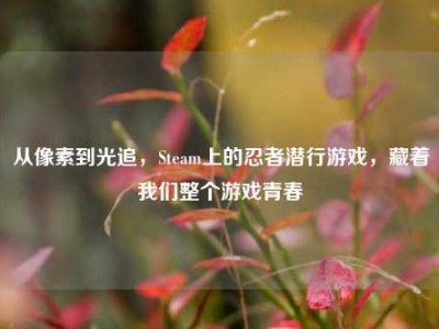 从像素到光追，Steam上的忍者潜行游戏，藏着我们整个游戏青春