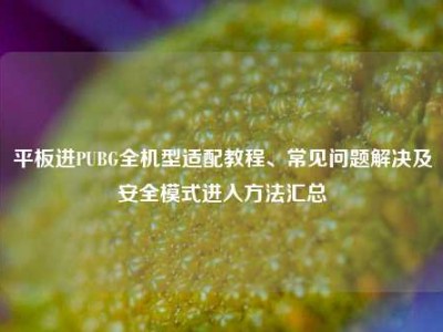 平板进PUBG全机型适配教程、常见问题解决及安全模式进入方法汇总