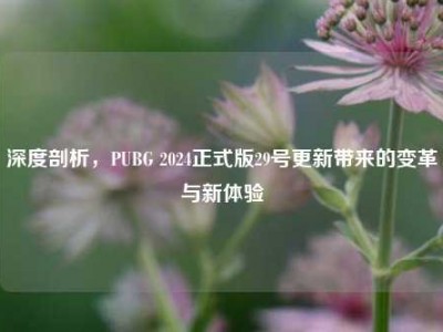 深度剖析，PUBG 2024正式版29号更新带来的变革与新体验