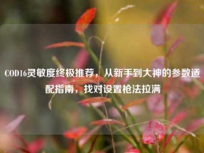 COD16灵敏度终极推荐，从新手到大神的参数适配指南，找对设置枪法拉满