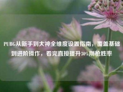 PUBG从新手到大神全维度设置指南，覆盖基础到进阶操作，看完直接提升30%刚枪胜率
