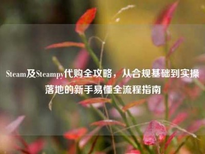 Steam及Steampy代购全攻略，从合规基础到实操落地的新手易懂全流程指南