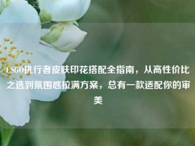 CSGO执行者皮肤印花搭配全指南，从高性价比之选到氛围感拉满方案，总有一款适配你的审美
