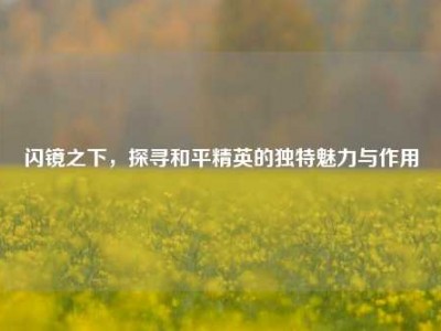 闪镜之下，探寻和平精英的独特魅力与作用