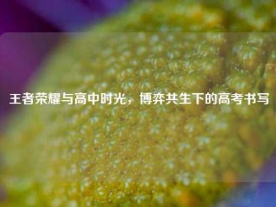 王者荣耀与高中时光，博弈共生下的高考书写