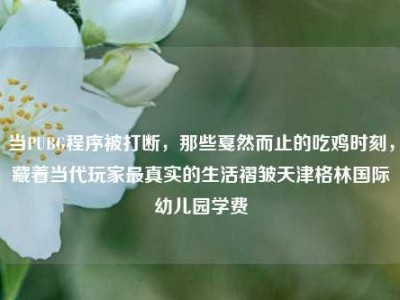 当PUBG程序被打断，那些戛然而止的吃鸡时刻，藏着当代玩家最真实的生活褶皱天津格林国际幼儿园学费