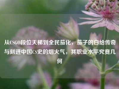 从CSGO段位天梯到全民茄化，茄子的白给传奇与刻进中国CS史的烟火气，其职业水平究竟几何
