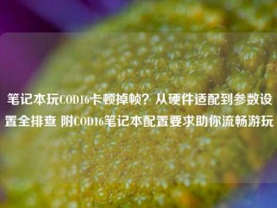 笔记本玩COD16卡顿掉帧？从硬件适配到参数设置全排查 附COD16笔记本配置要求助你流畅游玩