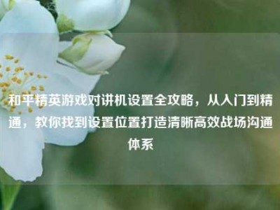 和平精英游戏对讲机设置全攻略，从入门到精通，教你找到设置位置打造清晰高效战场沟通体系