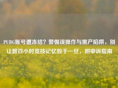 PUBG账号遭冻结？警惕误操作与黑产陷阱，别让数百小时竞技记忆毁于一旦，附申诉指南
