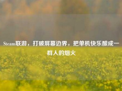 Steam联游，打破屏幕边界，把单机快乐酿成一群人的烟火