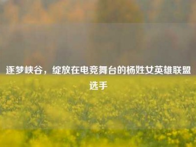 逐梦峡谷，绽放在电竞舞台的杨姓女英雄联盟选手