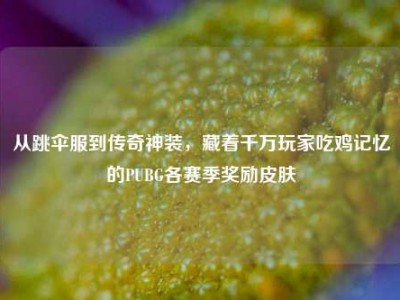 从跳伞服到传奇神装，藏着千万玩家吃鸡记忆的PUBG各赛季奖励皮肤