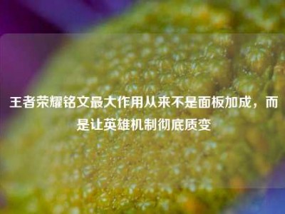 王者荣耀铭文最大作用从来不是面板加成，而是让英雄机制彻底质变