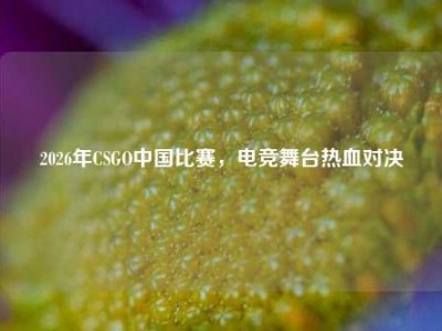 2026年CSGO中国比赛，电竞舞台热血对决