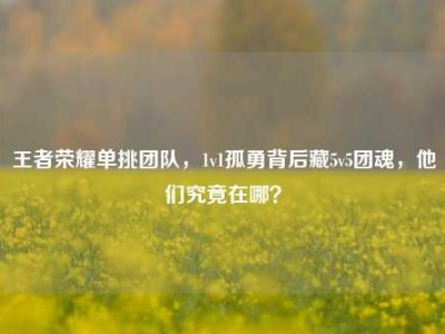 王者荣耀单挑团队，1v1孤勇背后藏5v5团魂，他们究竟在哪？