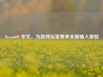 SteamOS 中文，为游戏玩家带来全新输入体验