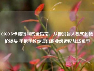 CSGO N卡滤镜调试全指南，从告别盲人模式到枪枪锁头 手把手教你调出职业级适配战场视野