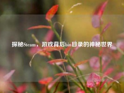 探秘Steam，游戏背后bin目录的神秘世界