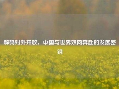 解码对外开放，中国与世界双向奔赴的发展密钥