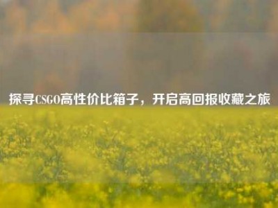 探寻CSGO高性价比箱子，开启高回报收藏之旅