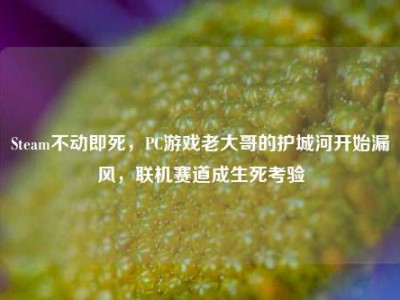 Steam不动即死，PC游戏老大哥的护城河开始漏风，联机赛道成生死考验