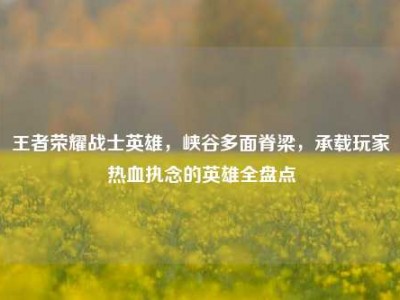 王者荣耀战士英雄，峡谷多面脊梁，承载玩家热血执念的英雄全盘点