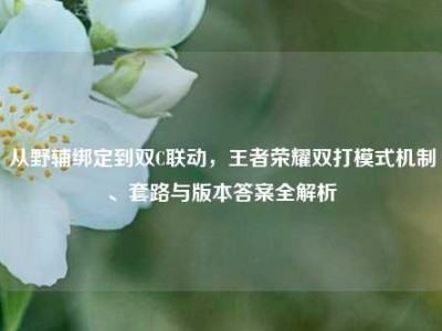 从野辅绑定到双C联动，王者荣耀双打模式机制、套路与版本答案全解析