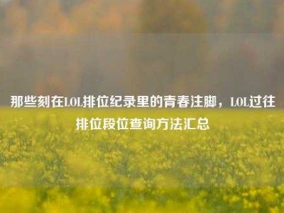 那些刻在LOL排位纪录里的青春注脚，LOL过往排位段位查询方法汇总