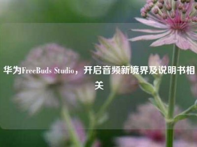 华为FreeBuds Studio，开启音频新境界及说明书相关
