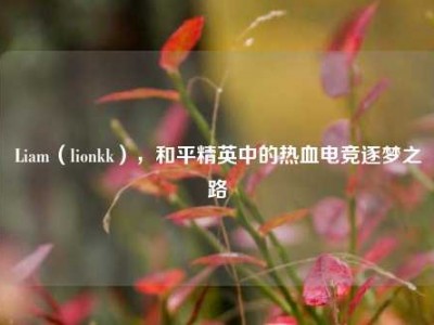 Liam（lionkk），和平精英中的热血电竞逐梦之路