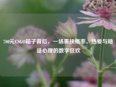 700元CSGO箱子背后，一场裹挟概率、热爱与赌徒心理的数字狂欢