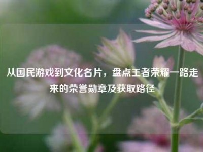 从国民游戏到文化名片，盘点王者荣耀一路走来的荣誉勋章及获取路径