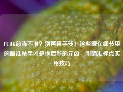 PUBG总瞄不准？别再怪手残！这些藏在细节里的瞄准杀手才是拖后腿的元凶，附瞄准标点实用技巧