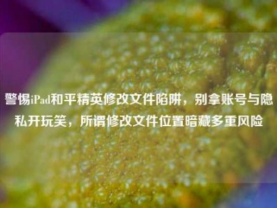 警惕iPad和平精英修改文件陷阱，别拿账号与隐私开玩笑，所谓修改文件位置暗藏多重风险