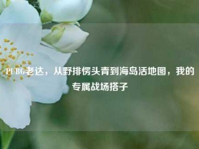 PUBG老达，从野排愣头青到海岛活地图，我的专属战场搭子