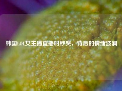 韩国LOL女主播直播时秒哭，背后的情绪波澜