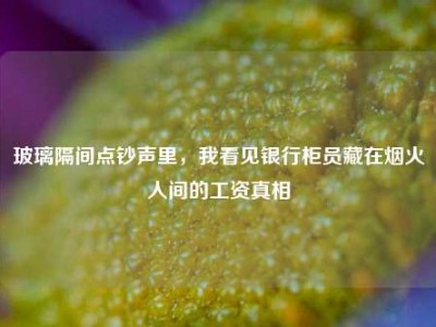 玻璃隔间点钞声里，我看见银行柜员藏在烟火人间的工资真相